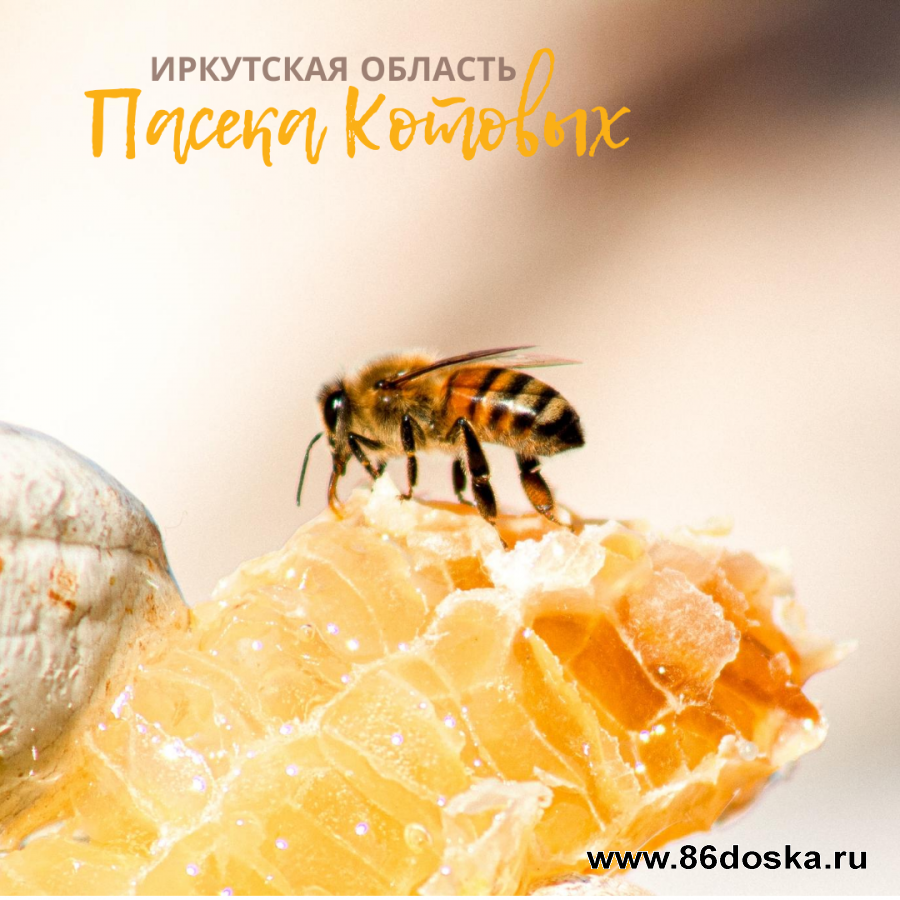 Мёд из Щеглаева Иркутская область