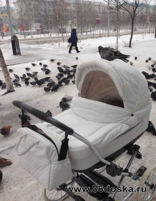 Коляска ЭКО кожа