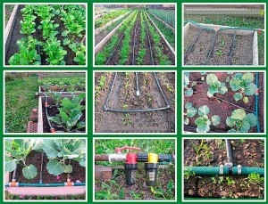 Набор капельного полива растений КПК 100 готовый комплект под ключ для дачи,  сада и огорода