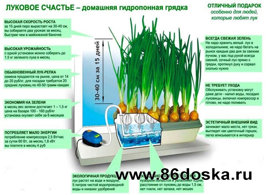 Установка Луковое Счастье домашний проращиватель выращиватель зелёного лука гидропонный