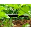 КЛ 100 Капельная лента для системы автоматического полива и орошения растений