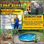 Благоустройство участка и расчистка от зарослей профессионально
