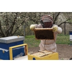 Мёд разнотравье 2021 года