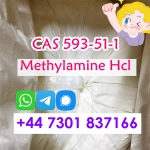 Methylamine Hydrochloride CAS 593-51-1 Methylamine 15 days arrive Russia