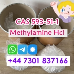 Methylamine Hydrochloride CAS 593-51-1 Methylamine 15 days arrive Russia