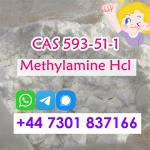 Methylamine Hydrochloride CAS 593-51-1 Methylamine 15 days arrive Russia