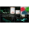 Люминесцентная краска Acmelight Faсade