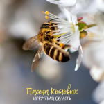Мёд из Щеглаева Иркутская область