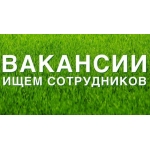 Требуется администратор на удаленную работу.