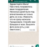 Дед  Мороз Снегурочка или Елочка на Ваш праздник!