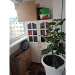 Квартирное бюро