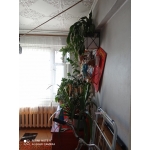 Квартирное Бюро