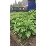 Квартирное Бюро