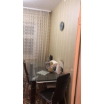 Квартирное Бюро