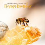 Мед из донника с частной пасеки Котовых