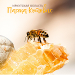 Мёд из Щеглаева Иркутская область