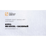 Курс:  MS  Excel:  Уровень 1 (Базовый)