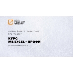 Курс:  MS Excel:  Уровень 2 (Профи)