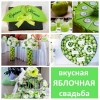 Оформление свадьбы в Сургуте