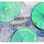 Помощник Администратора