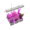 Светодиодный led фитосветильник Fito WST 03 01 фитолампа для досветки цветов,   рассады и растений