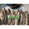 Активатор усилитель клёва Fishhungry стимулятор Голодная Рыба приманка прикорм
