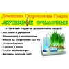 Выращиватель зелёного лука и чеснока аэроферма Луковое Счастье  домашняя гидропонная установка