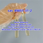 Methylamine hydrochloride cas 593-51-1 to russia